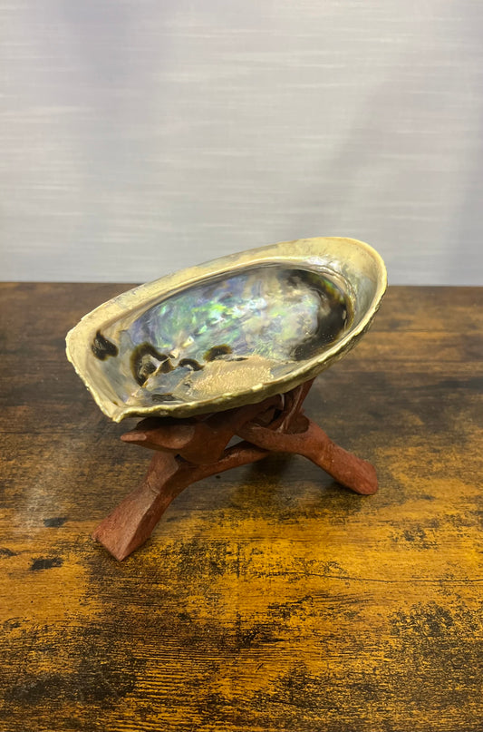 Abalone Shell and Stand